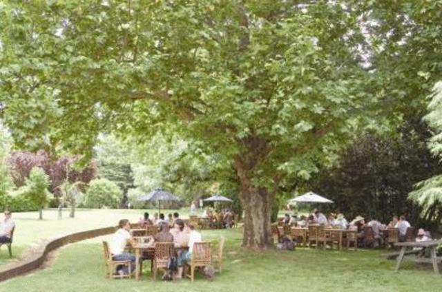 Petersons Armidale Winery And Guesthouse Extérieur photo