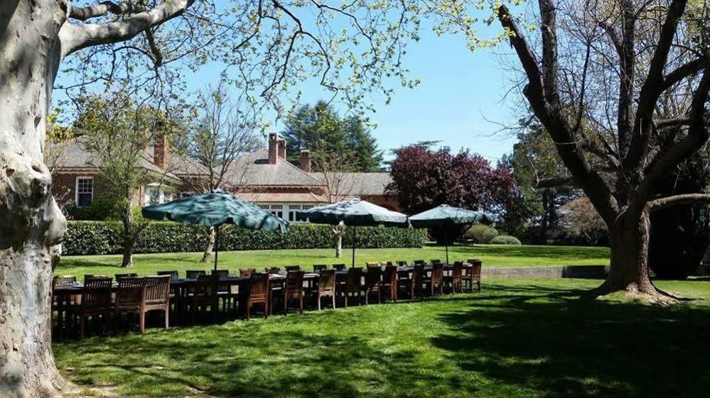 Petersons Armidale Winery And Guesthouse Extérieur photo